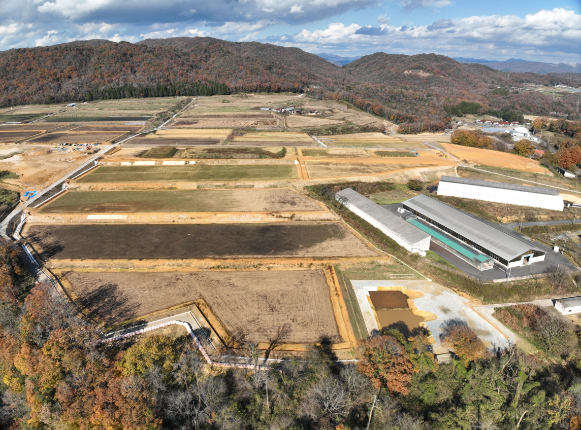 令和5年度県営農業競争力強化基盤整備事業　鍋石地区3工区　区画整理工事